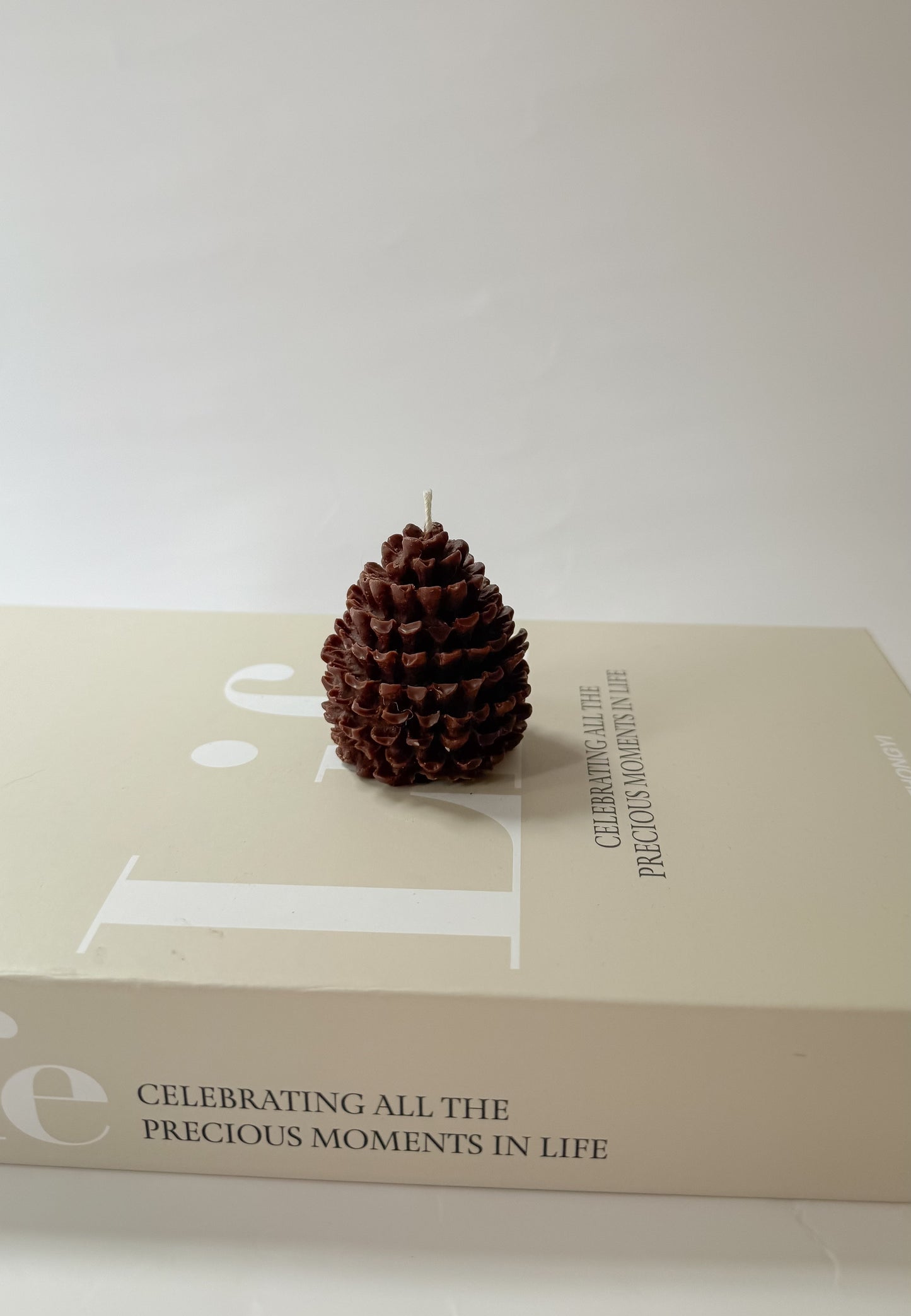 Pinecone - Fall Collection Candle