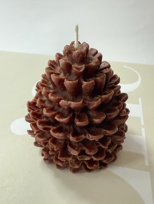 Pinecone - Fall Collection Candle