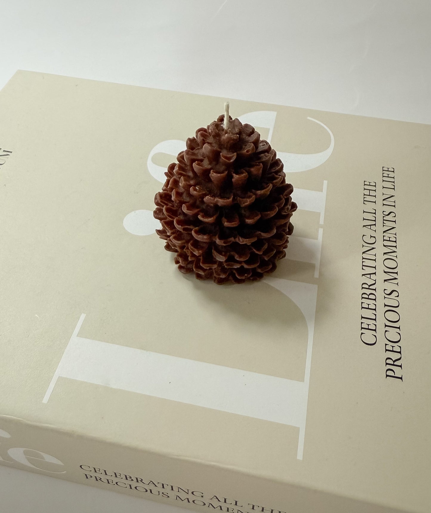 Pinecone - Fall Collection Candle