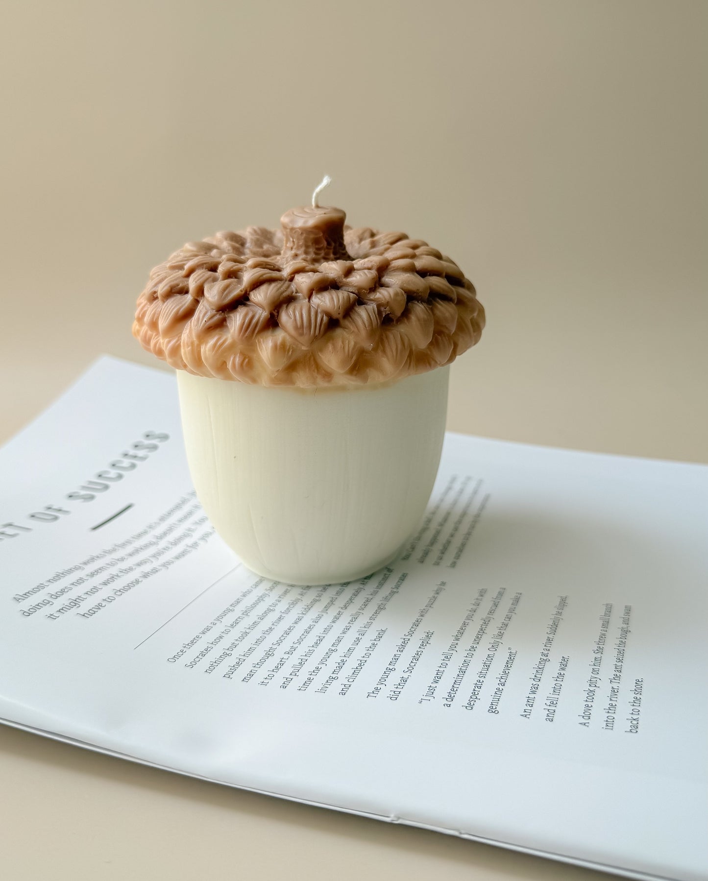 Eikel kaars herfst collectie - Handgemaakt door Cheri Atelier